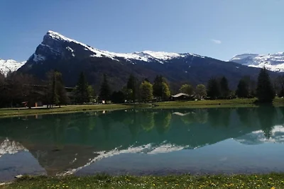 Comfortabel appartement in Morillon