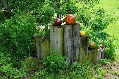 Appartamento per vacanze Partheblick
