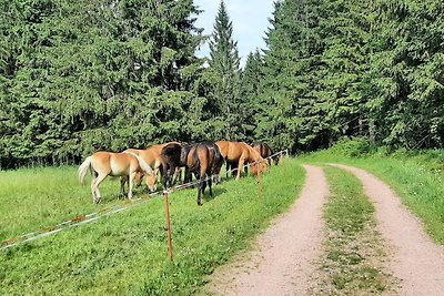 Gemütliches Ferienhaus in der Nähe des...