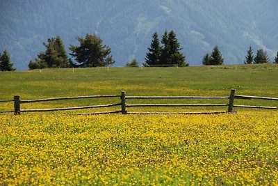 Appartamento per vacanze a Kiens con piscina