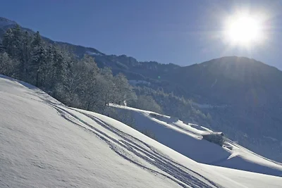 Haus Alpenfriede || Ramsau im Zillertal