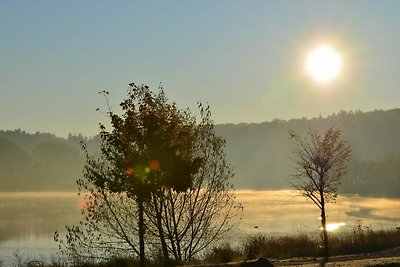 Doppelhaushälfte in Hasselfelde