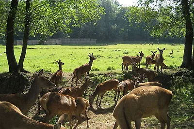 En un antiguo molino -