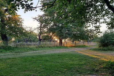 Gemütlicher Campingplatz am See in Kesteren