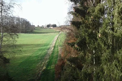 Prachtig appartement in Bree met terras