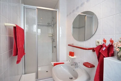 Gezellig appartement in Frauenwald bij bos
