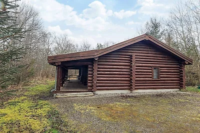 10 persone case ad Hadsund-By Traum