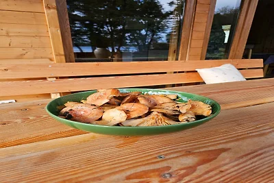 Ein ebenerdiges Ferienhaus direkt am See