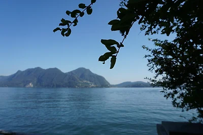 Directe omgeving (zomer) (<1 km) Directe omgeving (zomer) (<1 km)