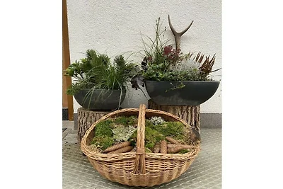 Natuurvakantieappartement Übersteinerhof
