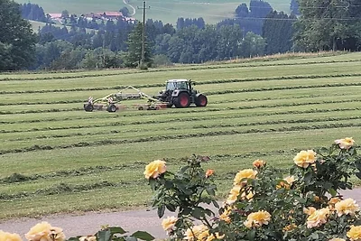 Ferienhaus in Weitnau mit Schwimmbecken