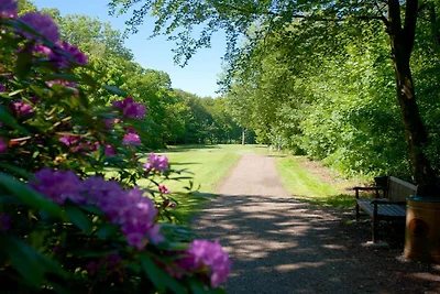 Panoramisch toevluchtsoord in Andkaer Vig -- ...