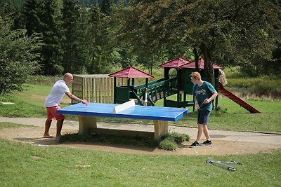 Ferienhaus mit Campingplatz-Pool