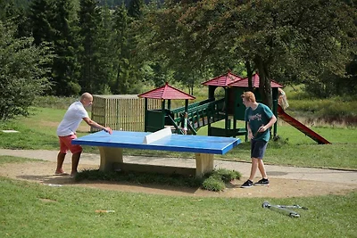Ferienhaus mit Campingplatz-Pool