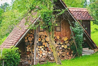 Il rifugio moderno di Höller