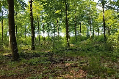 6 persoons vakantie huis in Toftlund-By Traum