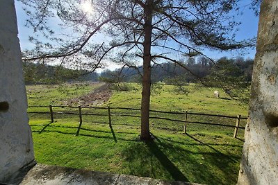 Graziosa villetta a Orval con giardino