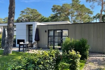 Chalet moderno con lavastoviglie, sul Veluwe