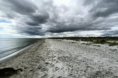 4 Sterne Ferienhaus in Hals-By Traum