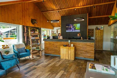 Goed onderhouden chalet op de Veluwe