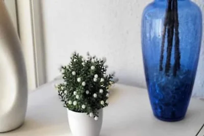 Häuser & Villen für 3 Personen