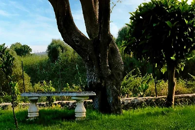 Haus Sogni di Giove mit Privatpool