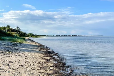6 persoons vakantie huis in Hadsund