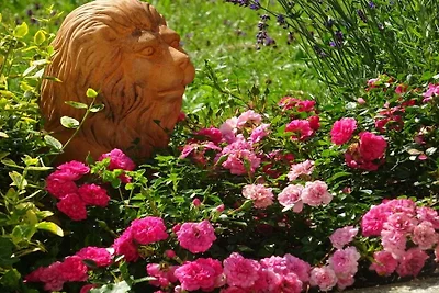 Ferienwohnung mit 1 Schlafzimmer