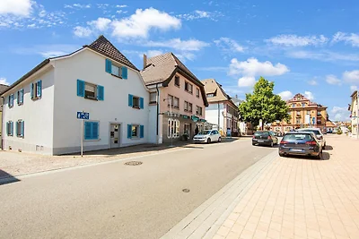 Appartement in Herbolzheim nabij centrum