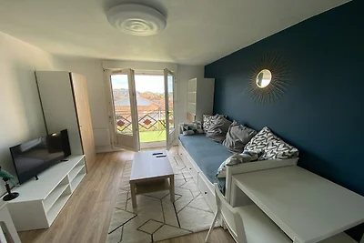 Haustierfreundliches Zuhause in Toulhouse