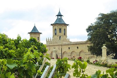 Casa bifamiliare su un vigneto, Talais