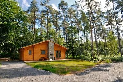 Chalet in legno con stufa a legna
