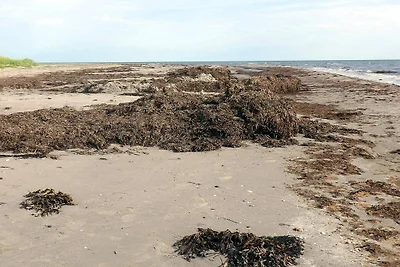 6 Personen Ferienhaus in Læsø-By Traum