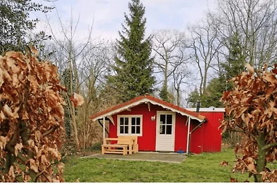 Chalet im skandinavischen Stil in der Veluwe