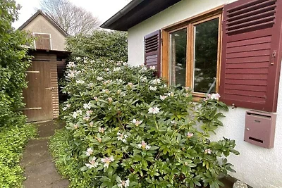 Ferienhaus mit 1 Schlafzimmer