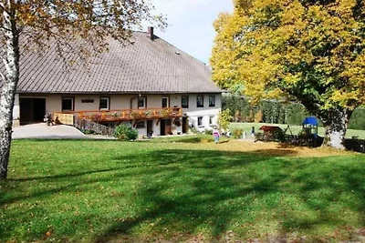 Ferienwohnung in Breitnau mit Wifi