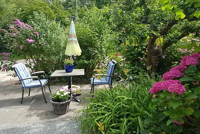 OK36 Vakantiehuis met hond Oostkapelle