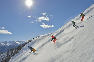 Ruim appartement vlakbij het skigebied