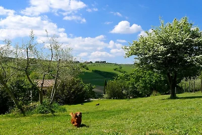 Ferienhaus mit 3 Schlafzimmer