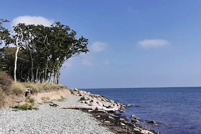 6 Personen Ferienhaus in Bagenkop