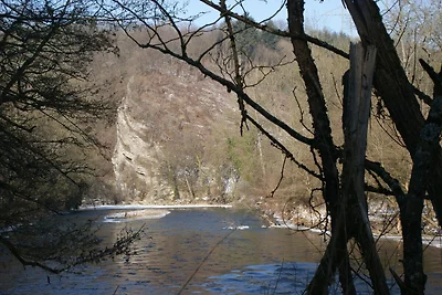 Natuurontsnapping in Bohon