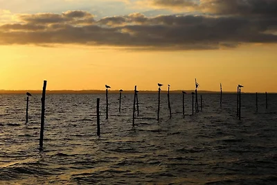 8 persone case ad Tranekær