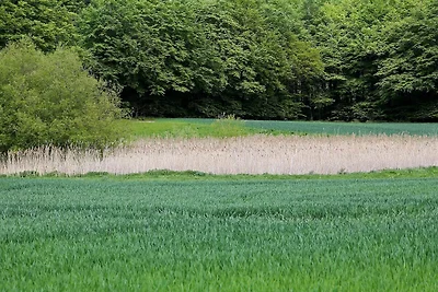 Villa de luxe avec piscine à Lohals