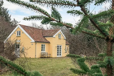 5 Sterne Ferienhaus in Skagen