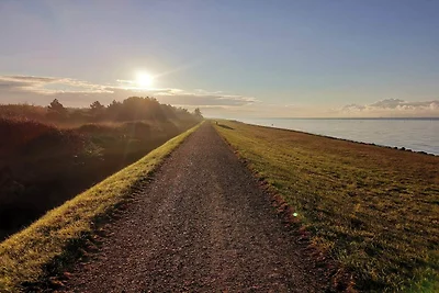 6 Personen Ferienhaus in Dannemare-By Traum