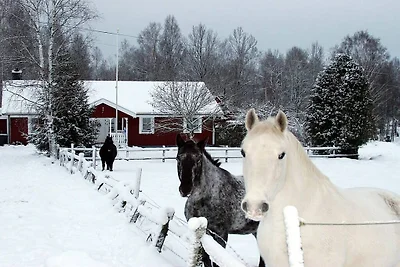 Solgården, Småland, Vimmerby