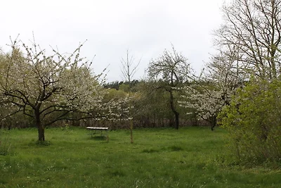 Grazioso appartamento Landlust a Neuburg