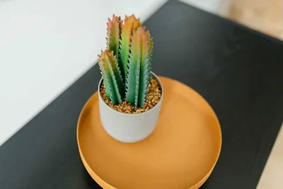 Mooi 1 Komfortable Ferienresidenz