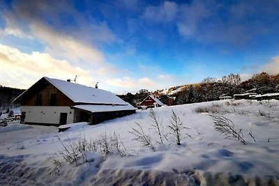 Villa a Cerny Dul con sauna