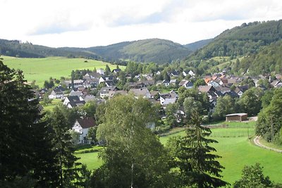 Geräumiges Ferienhaus in Liesen mit Garten